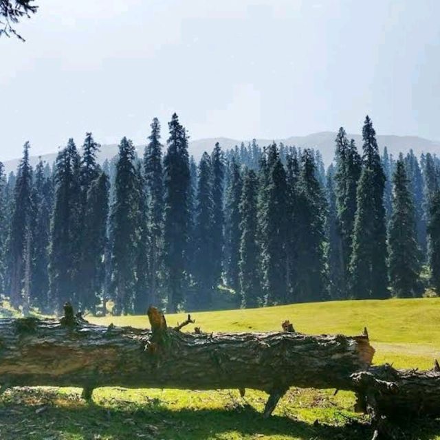 Gulmarg Wildlife Sanctuary