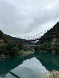 จุดชมวิวสะพานแขวนเก่าแก่ ที่ Wulai 🍃✨