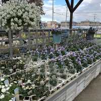 植物園！？素敵すぎる園芸ショップ！