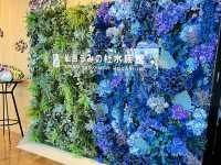 【仙台うみの杜水族館】水族館とちいかわ