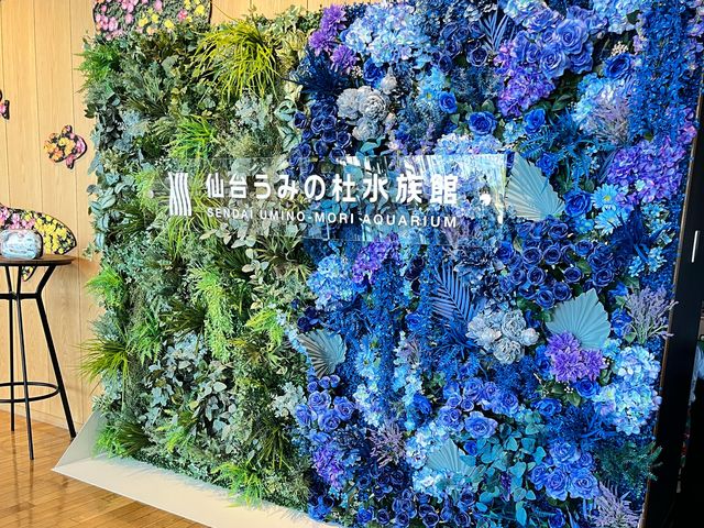 【仙台うみの杜水族館】水族館とちいかわ