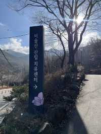 대구 빙벽포토존 겨울여행지