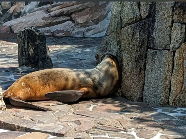 Edogawa City Nature Zoo