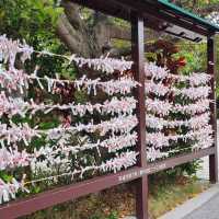 Primary of a kingdom - Naminoue Shrine 