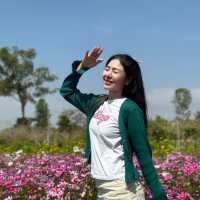 ชมทุ่งดอกไม้@ทับลาน💐