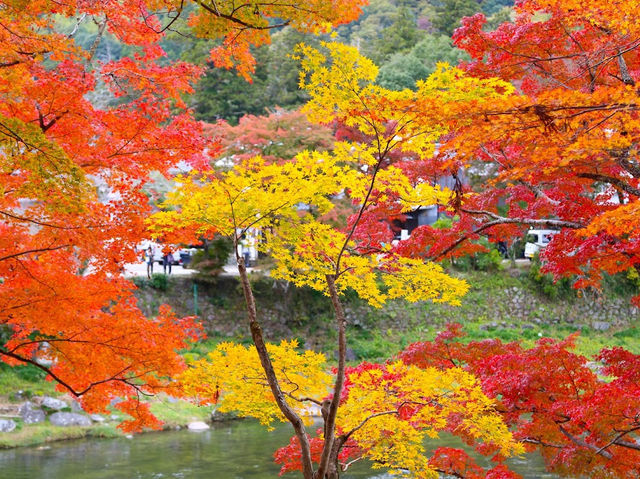 Korankei is a must-visit destination