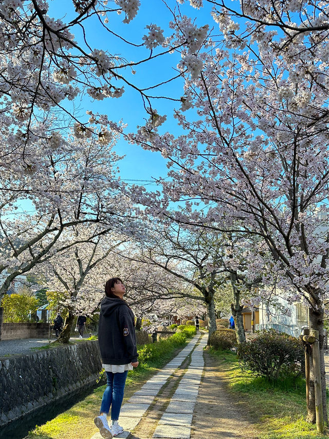 Is this the best spot in Kyoto?