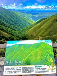 宜蘭後花園「抹茶山」莫蘭迪翠綠