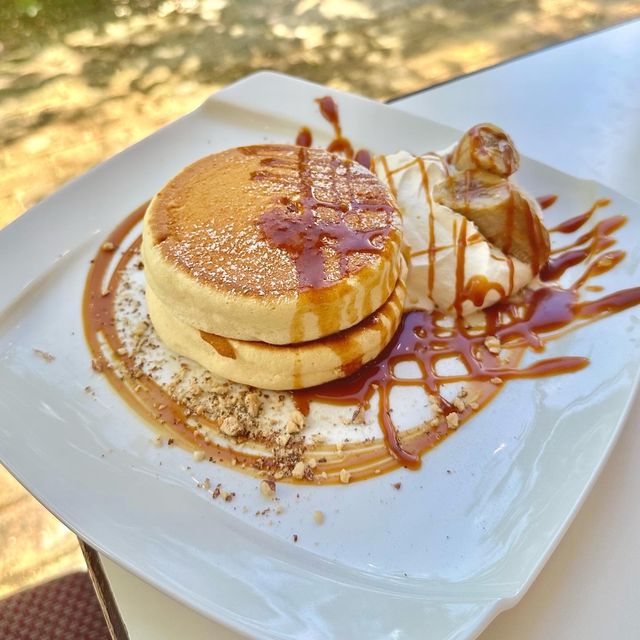 鳥取パンケーキ開拓編🕊️