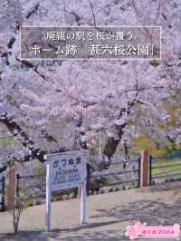 【山梨・桜】混雑回避はココ‼️レトロな雰囲気が出る桜咲くホーム跡🌸※マップ付き