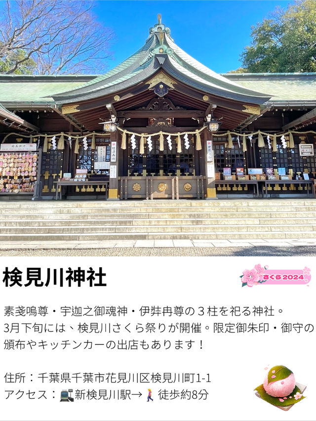 【検見川神社/千葉県】検見川さくら祭り2024