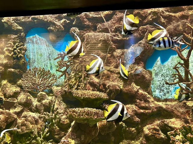 Phuket Aquarium 