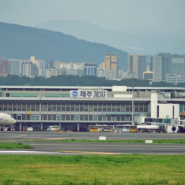 ✈️ 제주올레길공항코스, 공항과 하늘을 걷다