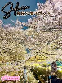 【東京】9割は知らない?!超穴場な夜桜スポット🤍