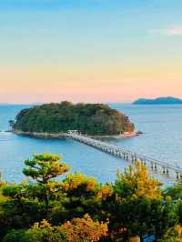 【絶景】島全体が天然記念物！パワースポットの竹島🏝