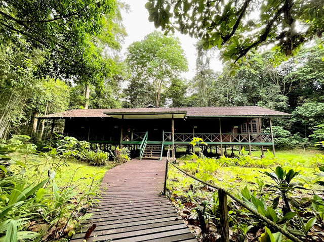 Gunung Mulu National Park