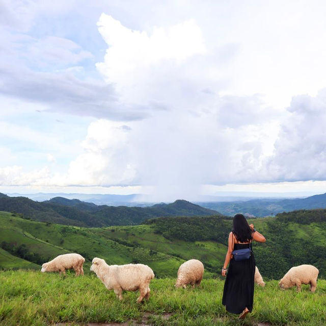 Akha Farm Ville