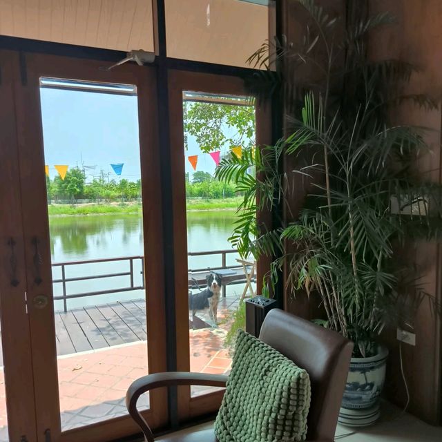 19 SUNDAY CAFE ฉะเชิงเทรา #Petfriendly
