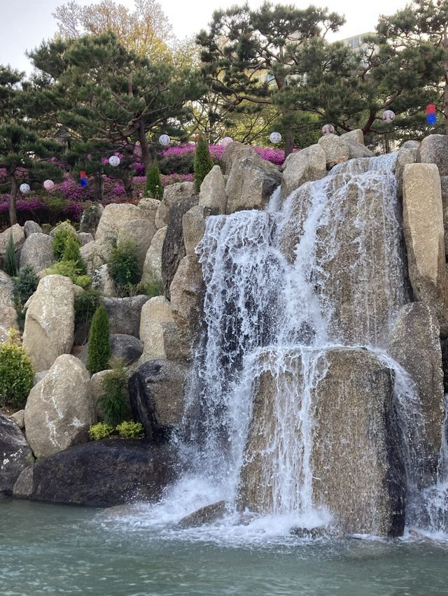 만개 임박🌸 군포 철쭉 축제