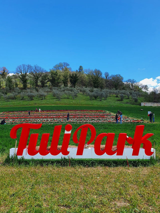 TuliPark - Spoleto