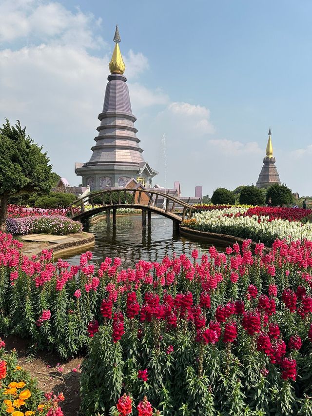 Doi Inthanon Thailand's Majestic Peak