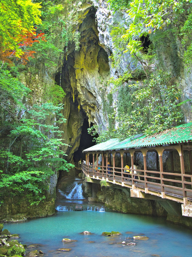 【山口】屋内の壮大さたるや⛰🏔鳥肌間MAX‼️壮大な光景が広がる鍾乳洞を紹介✨✨