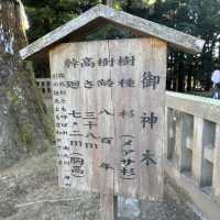 【霧島神宮】值得參觀的古老神社⛩️