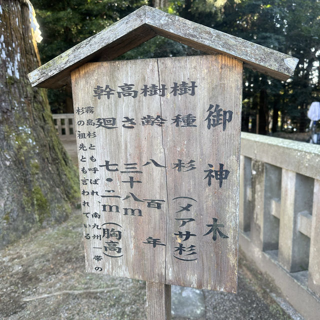 【霧島神宮】值得參觀的古老神社⛩️