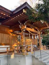 【小金井神社/東京都】緑生い茂る境内に石臼塚と弓道場