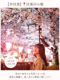お花見桜スポット16選🌸【関東編】