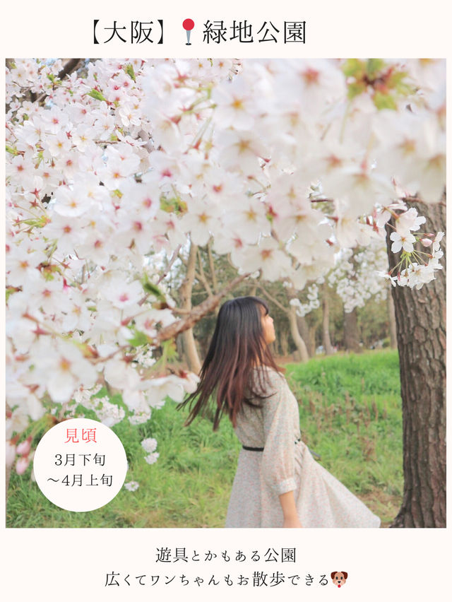 お花見桜スポット🌸【関西編】