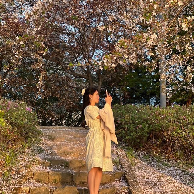 봄바람 가득, 춘천 공지천에서 만나는 4월의 마법 🌸🍃