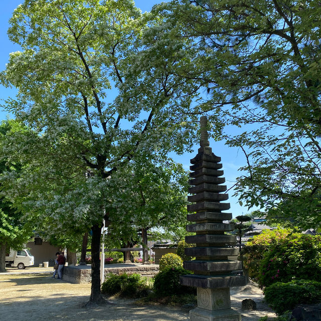 知多四国霊場巡り　慈雲寺