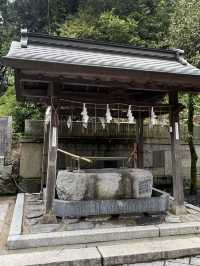 【北九州神社】看板猫に会えるかも？古代から続く神社