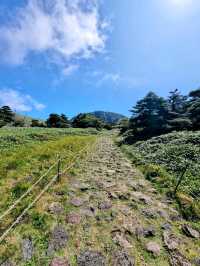 🇰🇷 Witse Oreum Shelter to Nambyeok Junction @ Hallasan