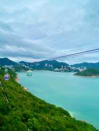 【黃竹坑】香港海洋公園:與企鵝共餐,感受自然奇觀 的郊遊之旅