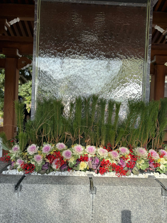 【福岡神社】日本一の大縄のある神社⛩光の道も有名なところです✨