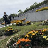 【📍淡路島】入場無料🆓✨自然とアートが融合する美しい空間🍃