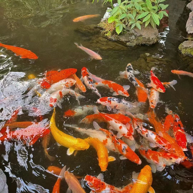 廣州嶺南園：歷史文化名園