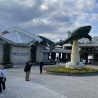 【沖縄観光】優雅に泳ぐジンベイザメが魅力の水族館