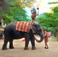 คาเฟ่ที่ทุกคนต้องมา...มองช้าง คาเฟ่