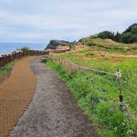 Serene Summit: Songaksan Mountain, Jeju