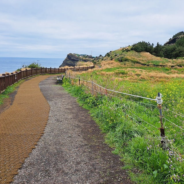 Serene Summit: Songaksan Mountain, Jeju