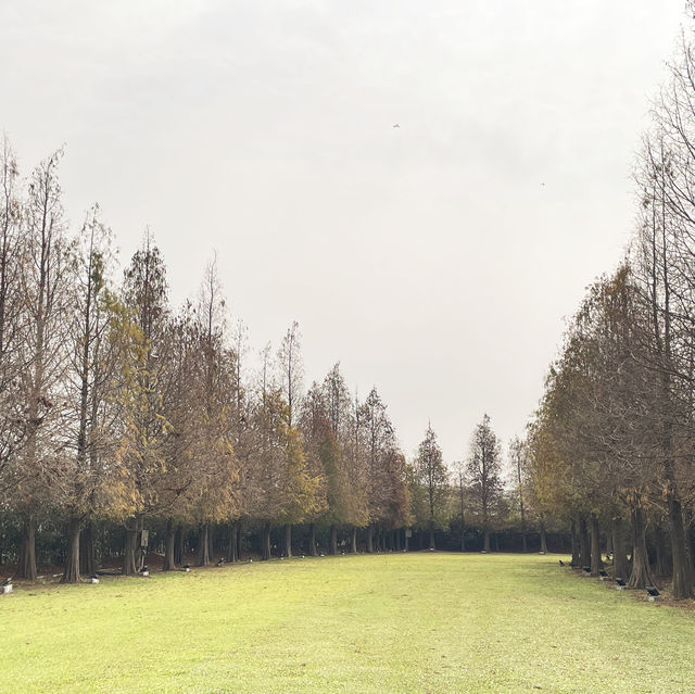 悦來居莊園 🖌 在浪漫的歐式小木屋享受悠閒住宿🏡