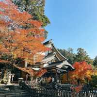 【福岡観光】福岡県添田町にある県内唯一の神宮