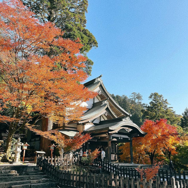 【福岡観光】福岡県添田町にある県内唯一の神宮