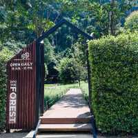 INTO THE FOREST | ดื่มด่ำบรรยากาศคาเฟ่กลางหุบเขา