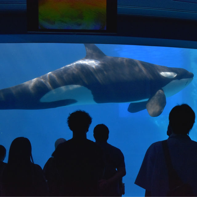 名古屋日帰り旅行〜名古屋港水族館〜