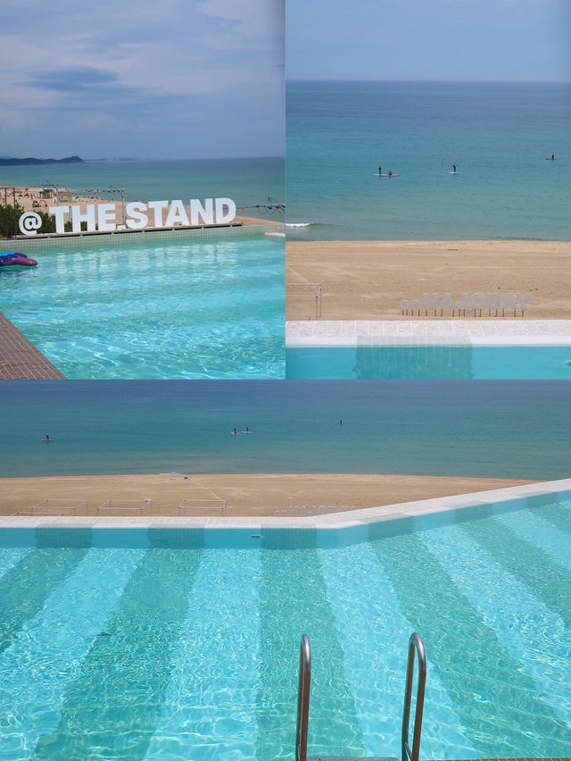 (6.15,16일 무료 입장) 양양 하조대 서피비치 앞에 인피니티 풀이 있다!🏖️