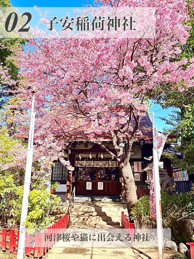 【池袋/東京都】神社めぐり5選